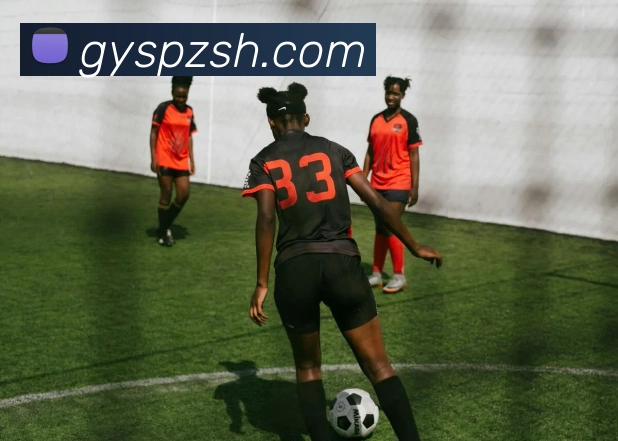 开云平台生态图